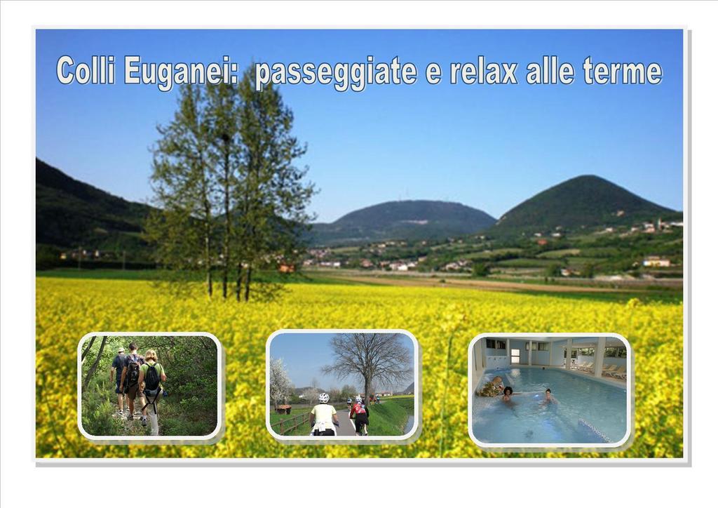 Hotel Terme Villa Piave Абано Терме Екстериор снимка