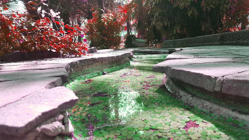 Hotel Terme Villa Piave Абано Терме Екстериор снимка